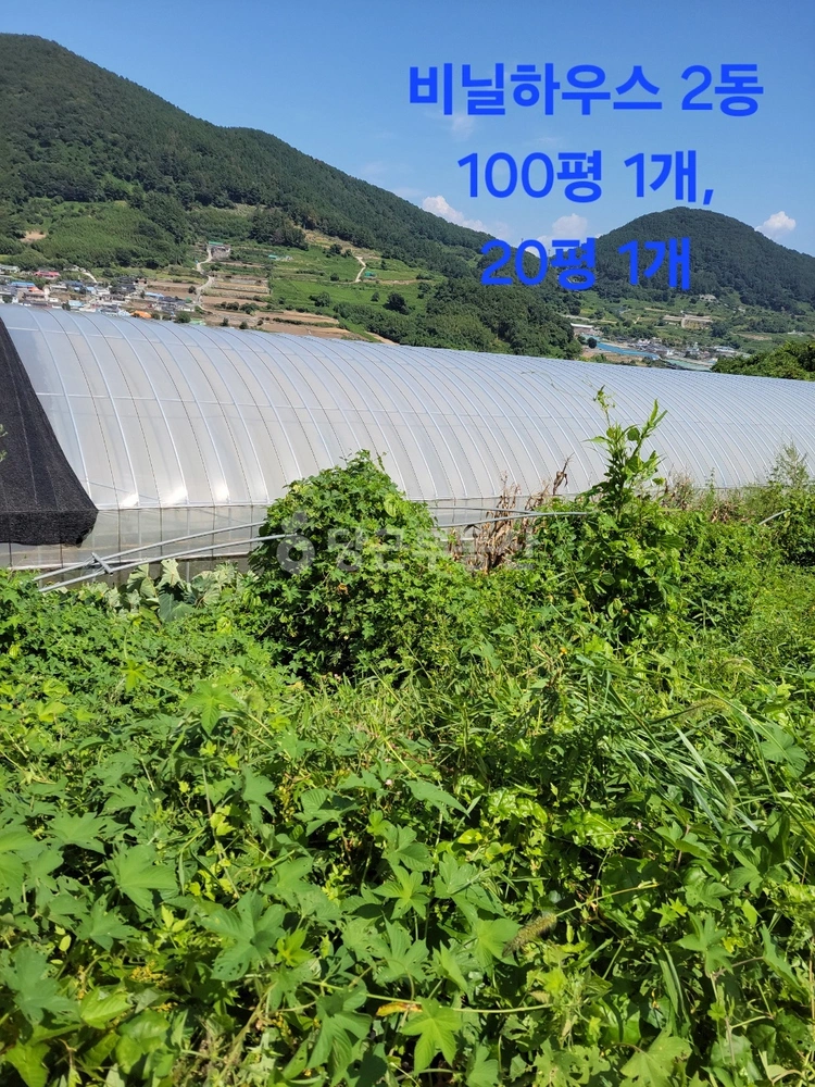 전남광주통합특별시 여수시 돌산읍 토지 사진 1