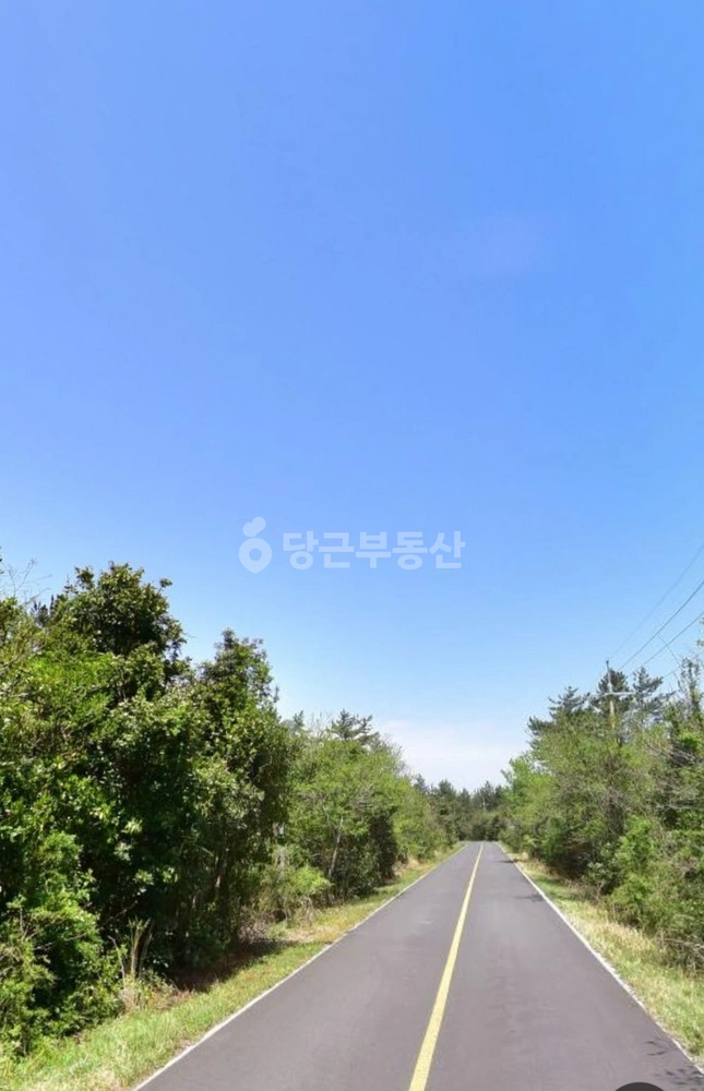제주특별자치도 제주시 구좌읍 토지 사진 1