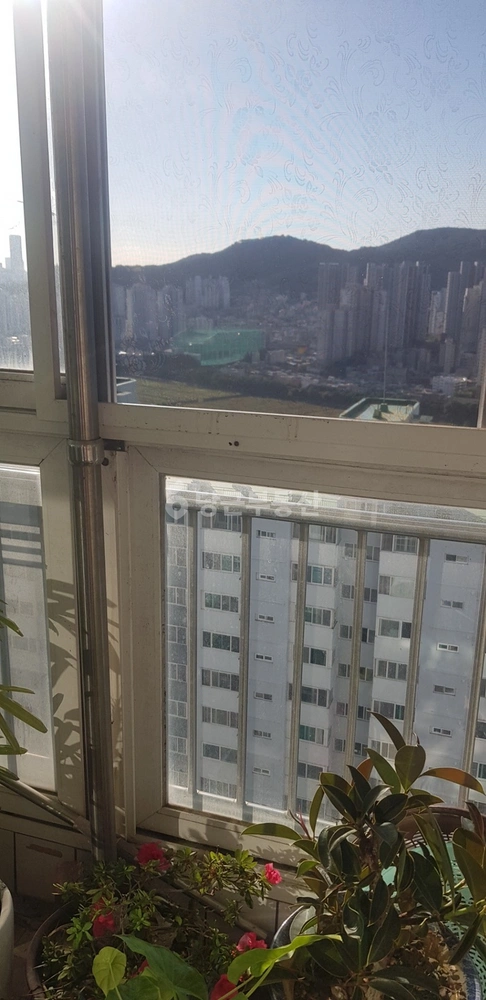 부산광역시 부산진구 개금동 아파트 사진 1