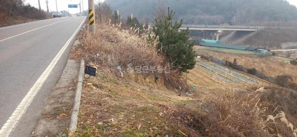 전남광주통합특별시 여수시 화양면 토지 사진 1