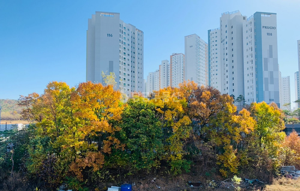 경기도 파주시 야당동 빌라(투룸 이상) 사진 1