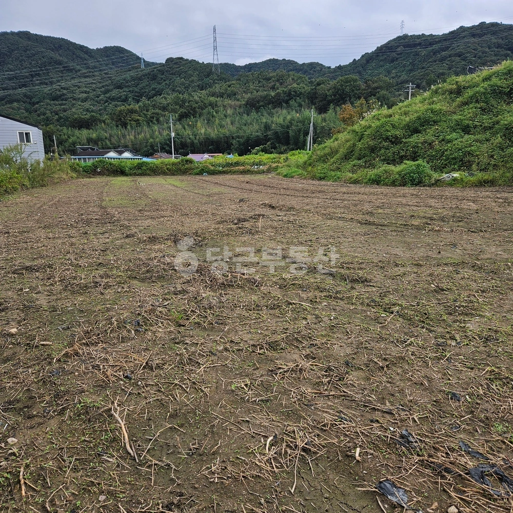 전남광주통합특별시 담양군 무정면 토지 사진 1