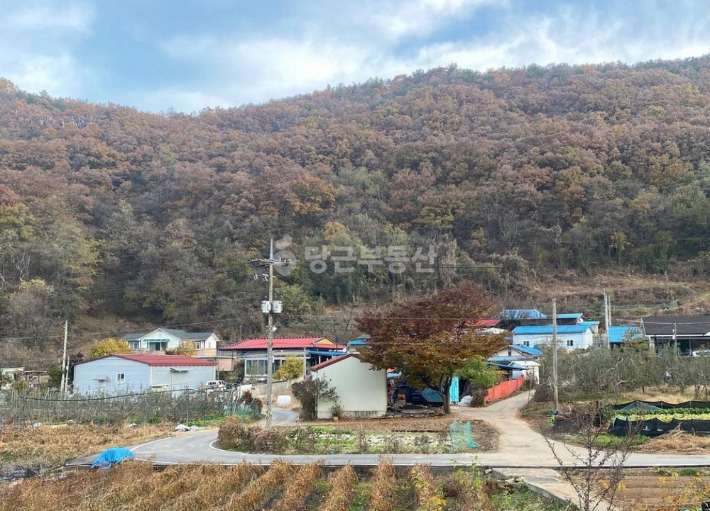 충청북도 충주시 직동 토지 사진 1