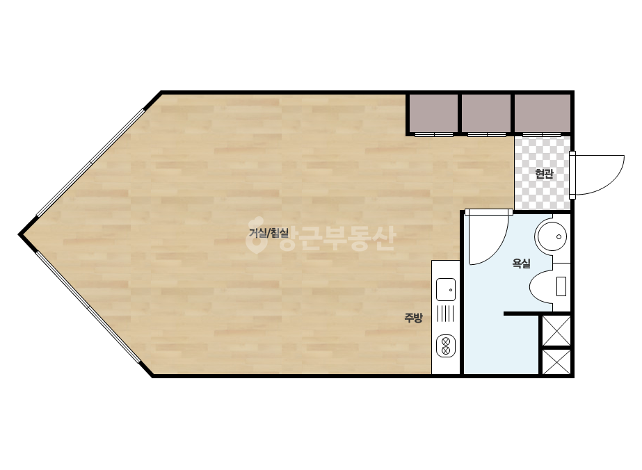 확장 평면도