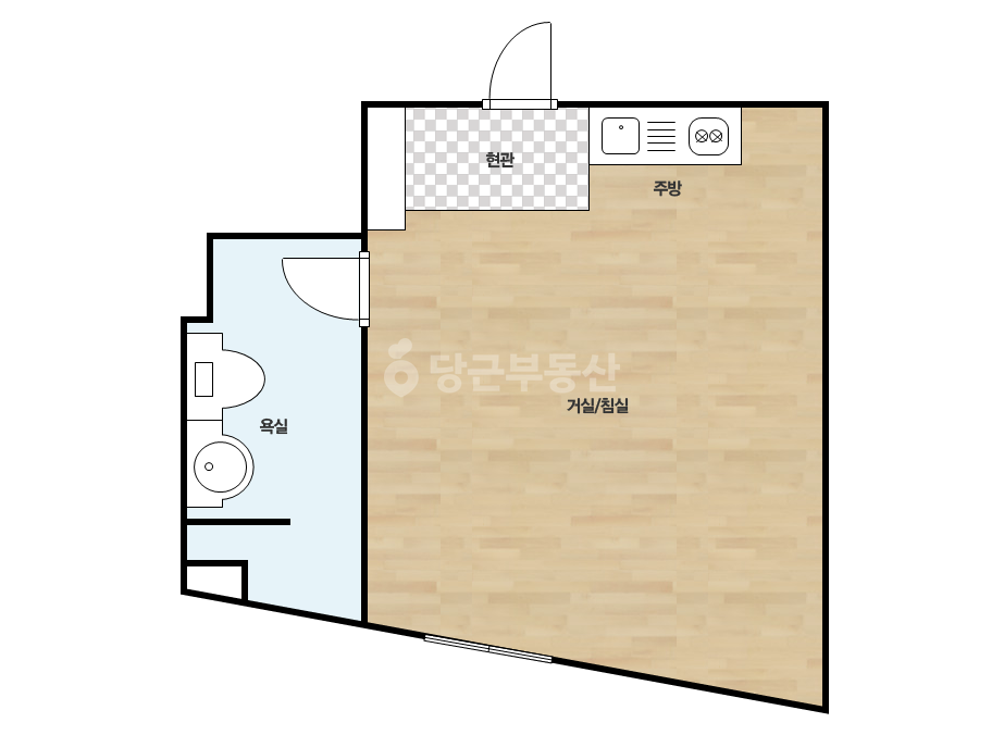 확장 평면도