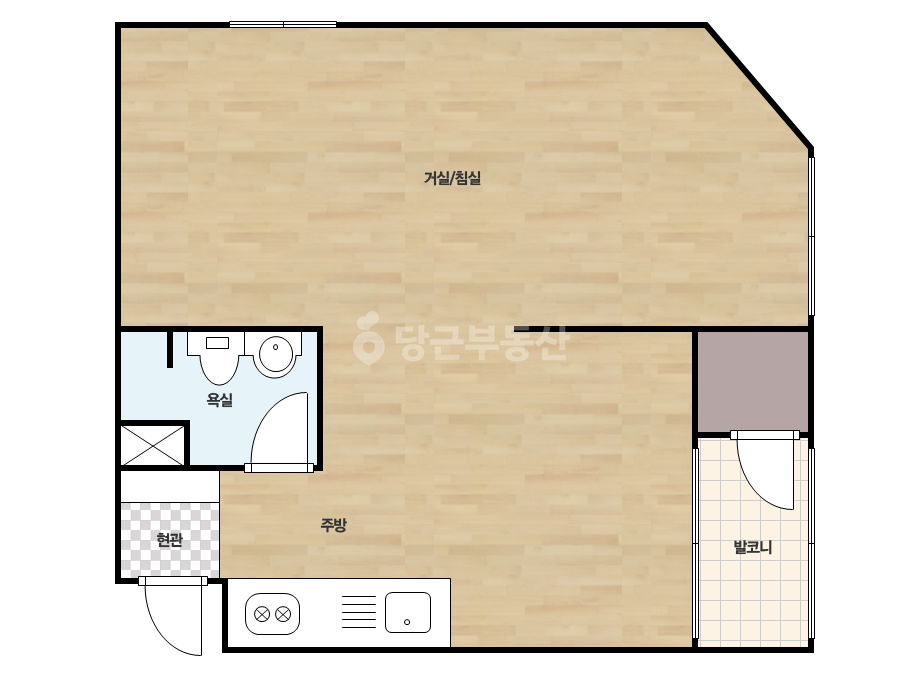 확장 평면도