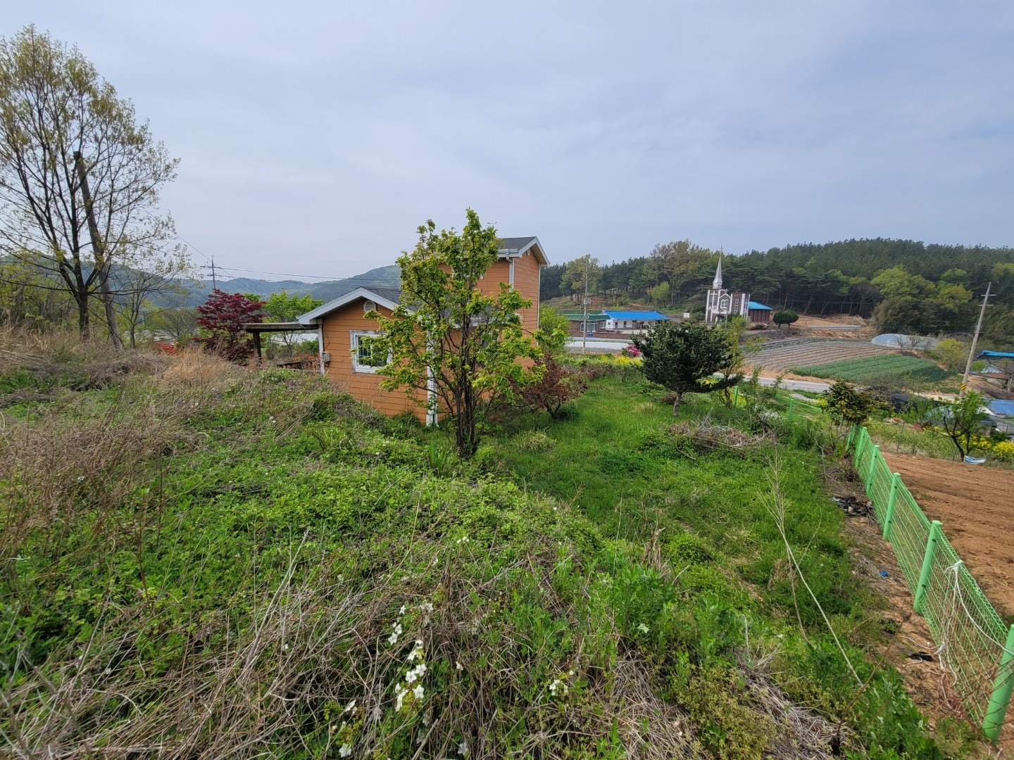 평면도