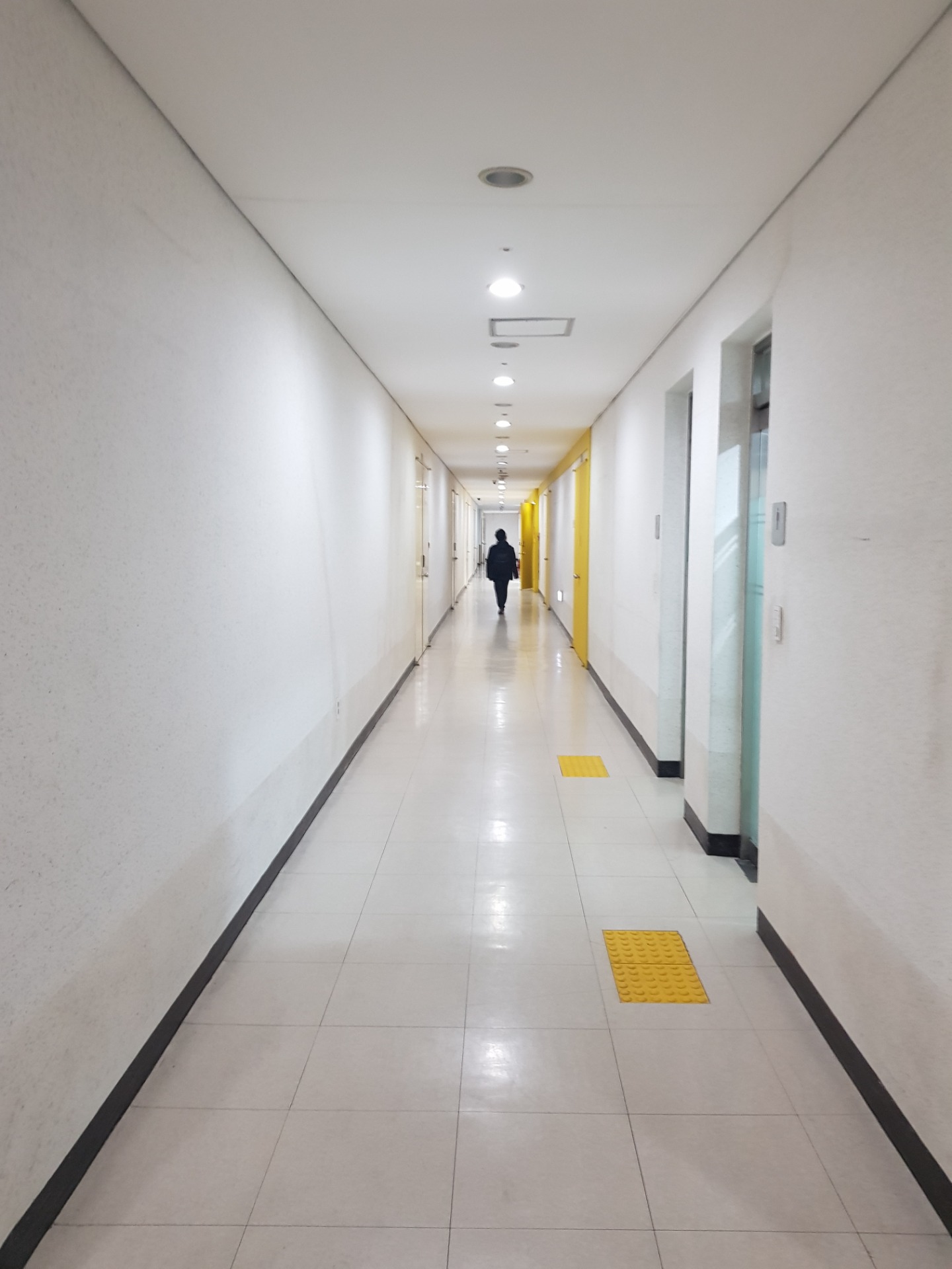 평면도