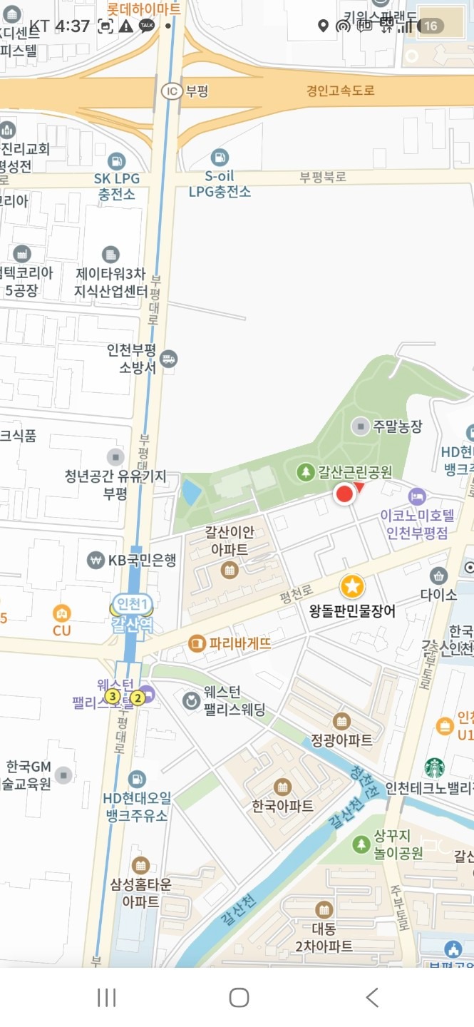 평면도