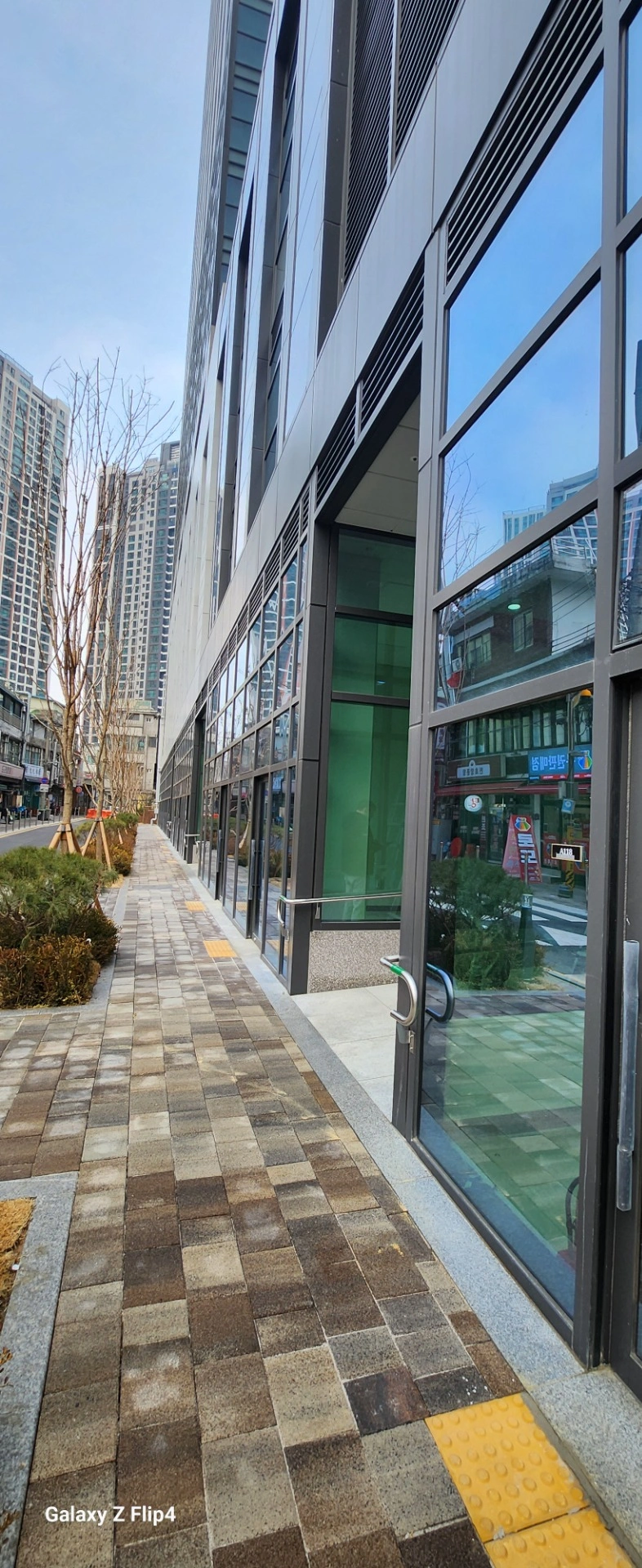 평면도