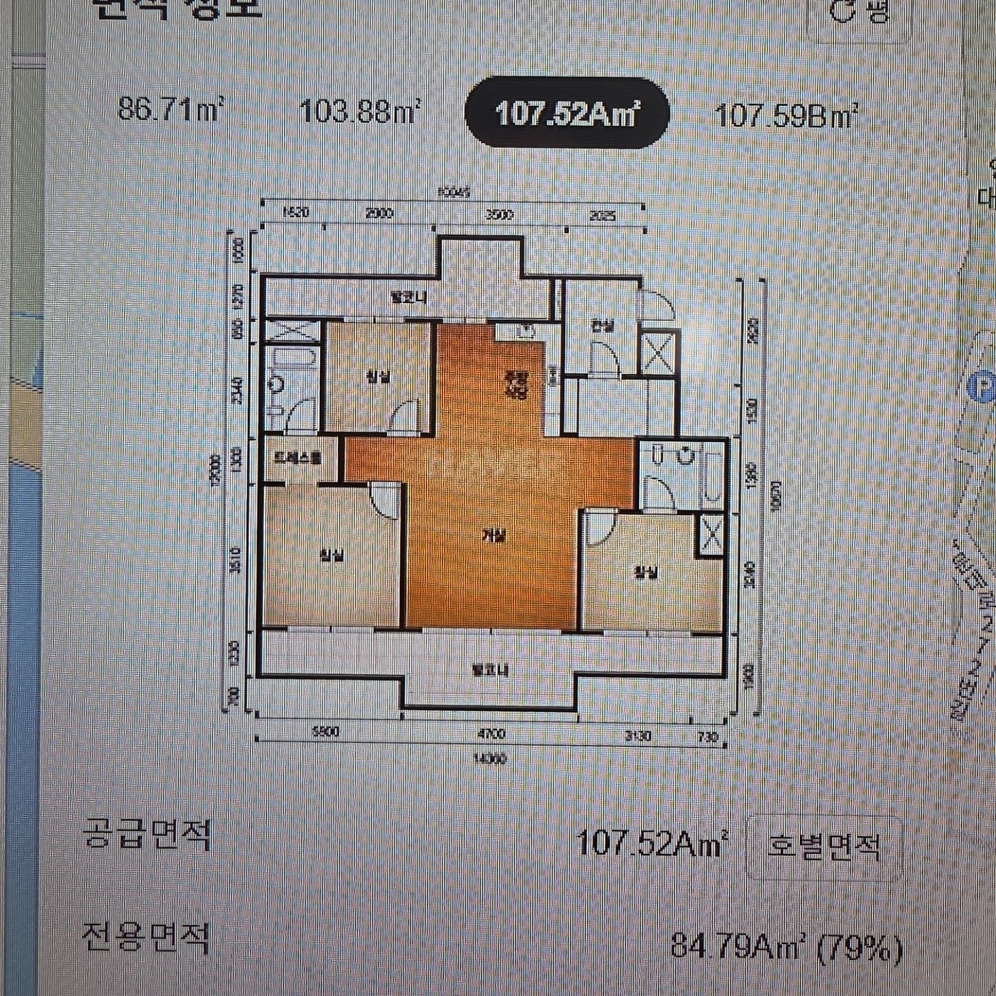 평면도