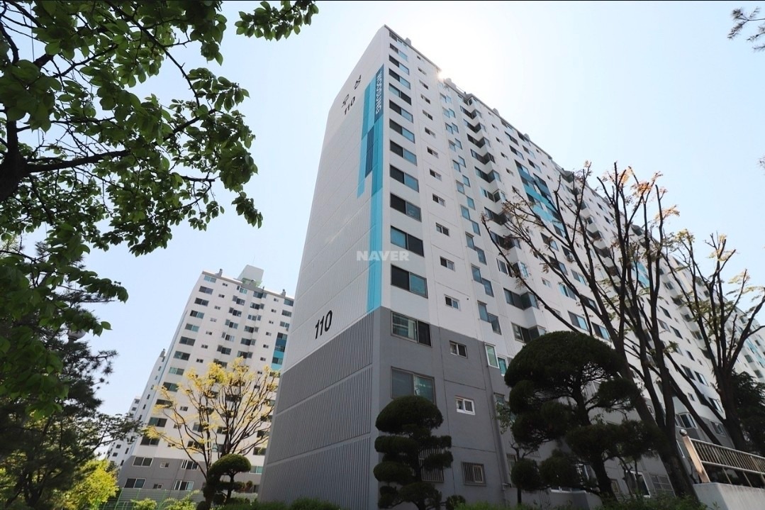 평면도