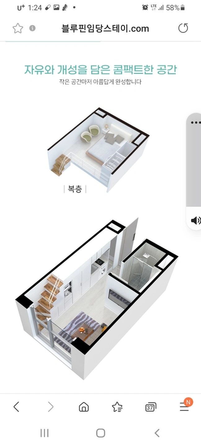 평면도