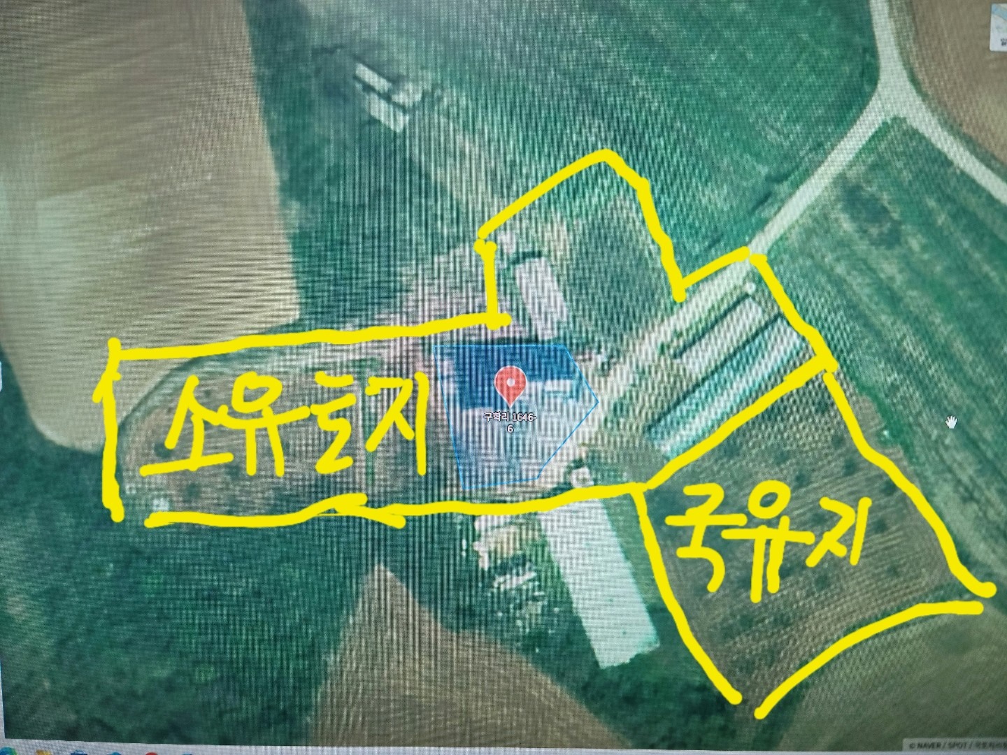 평면도
