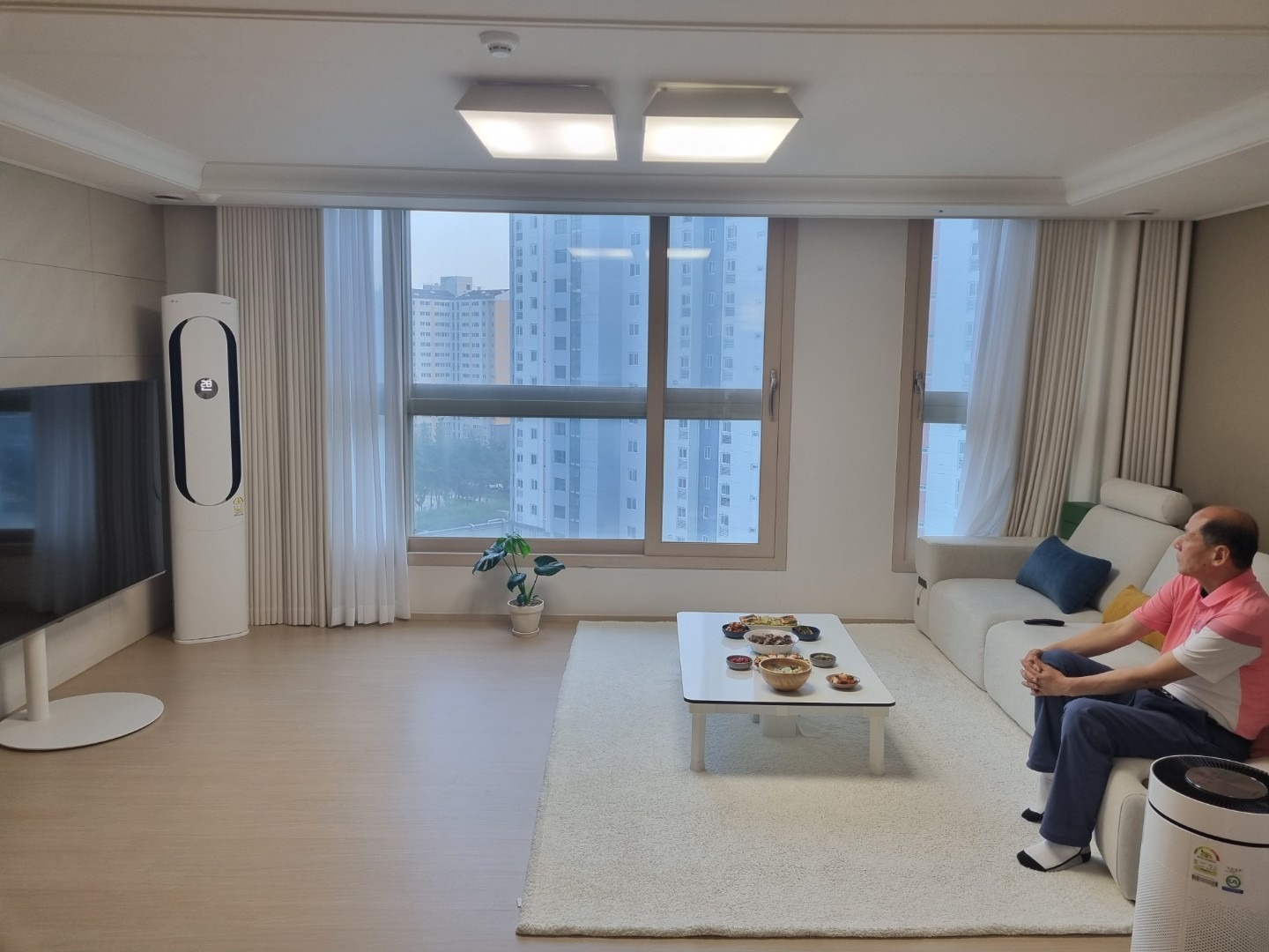 평면도