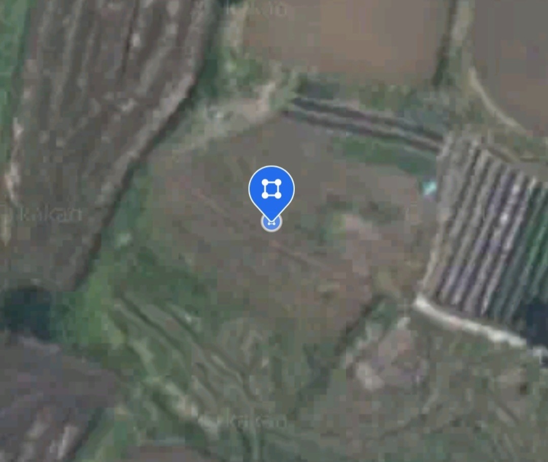 평면도