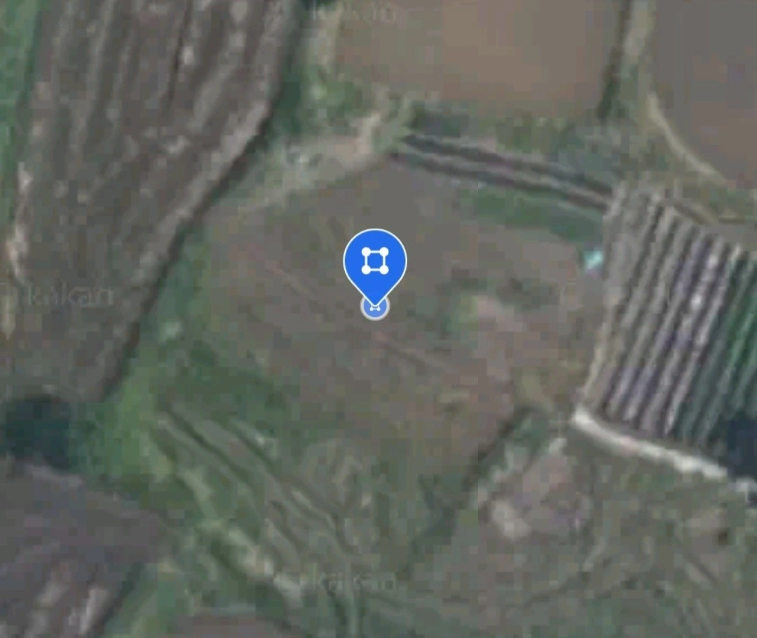 평면도