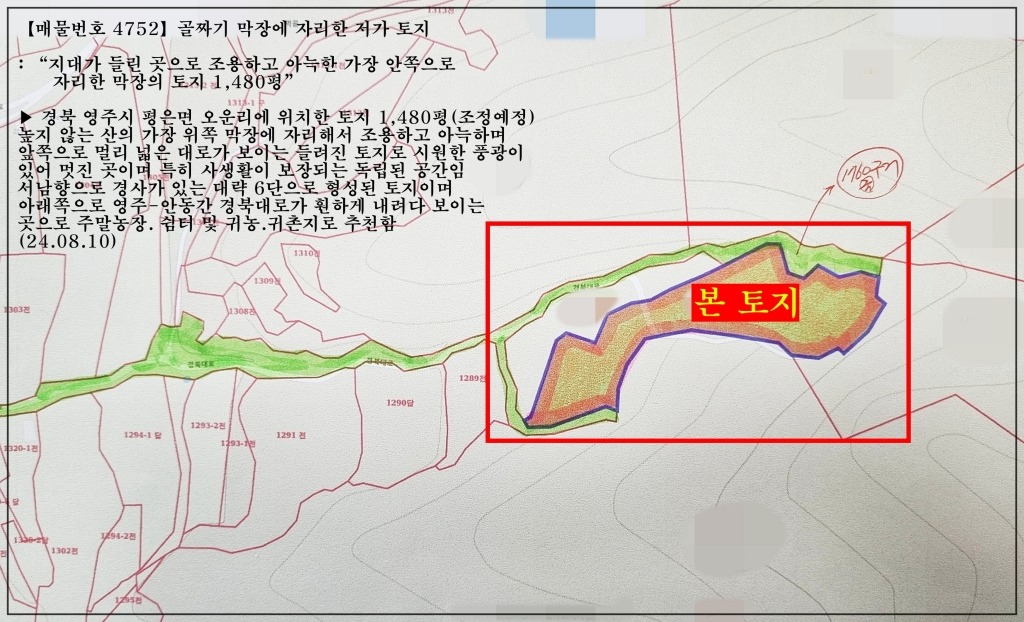 평면도