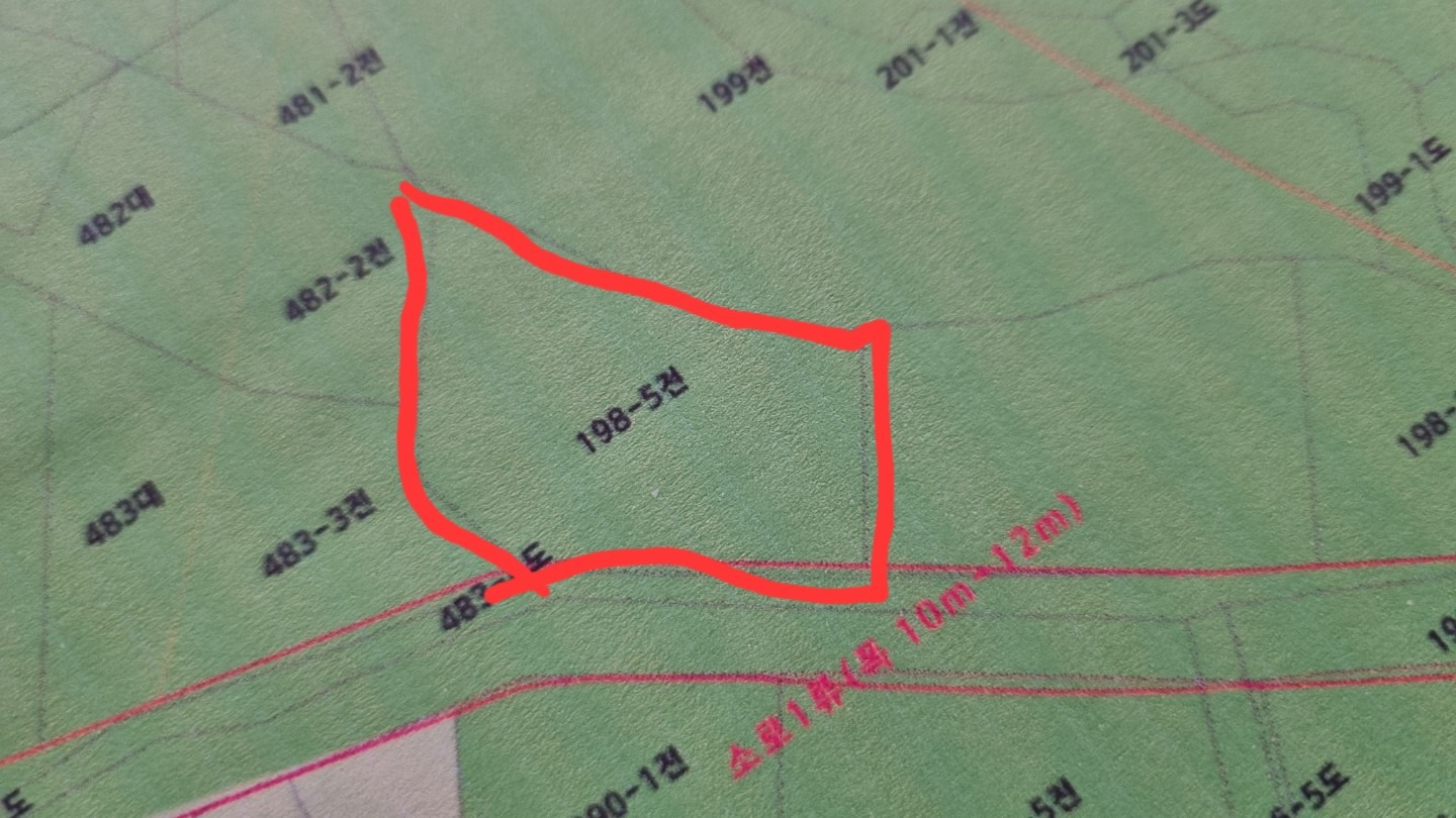 평면도