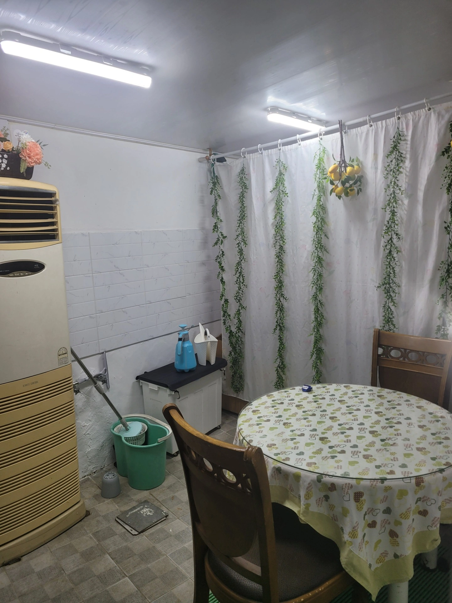 평면도