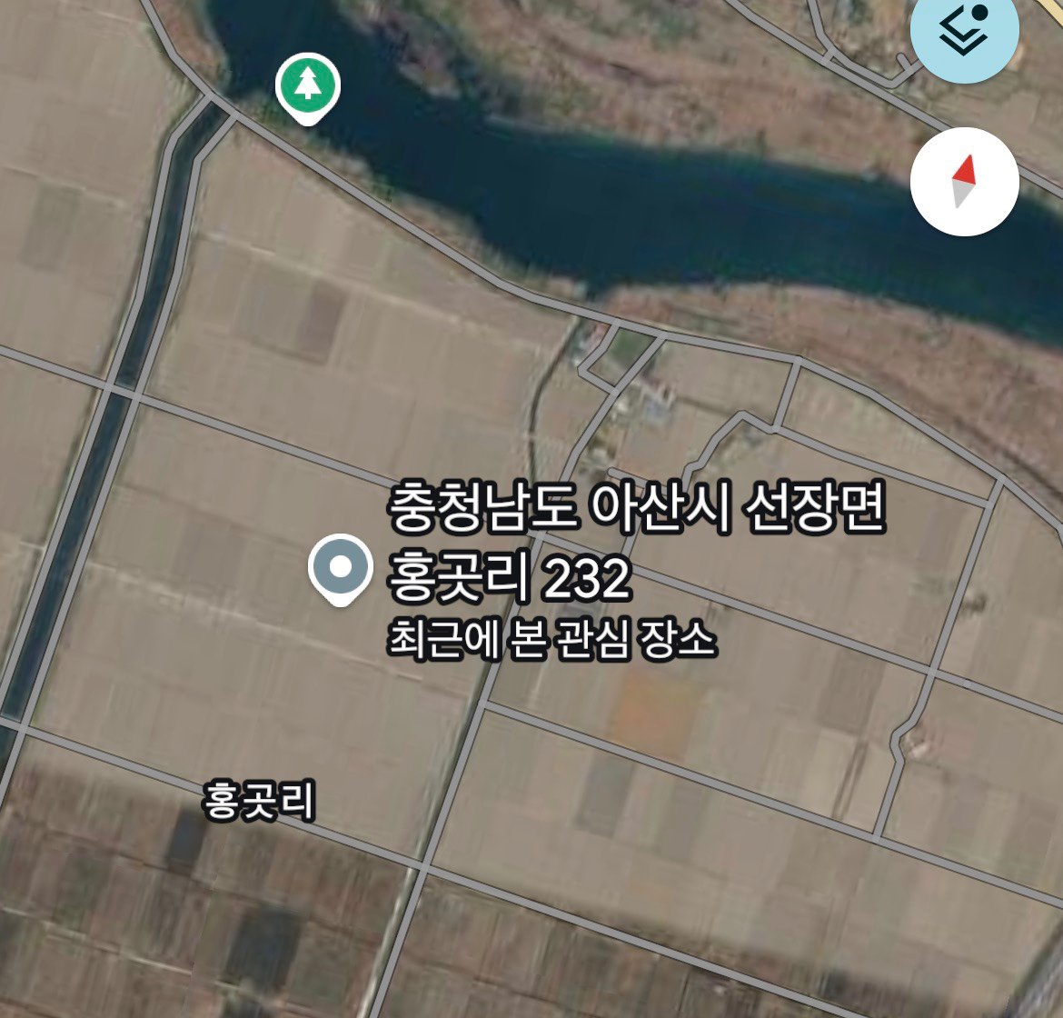 평면도