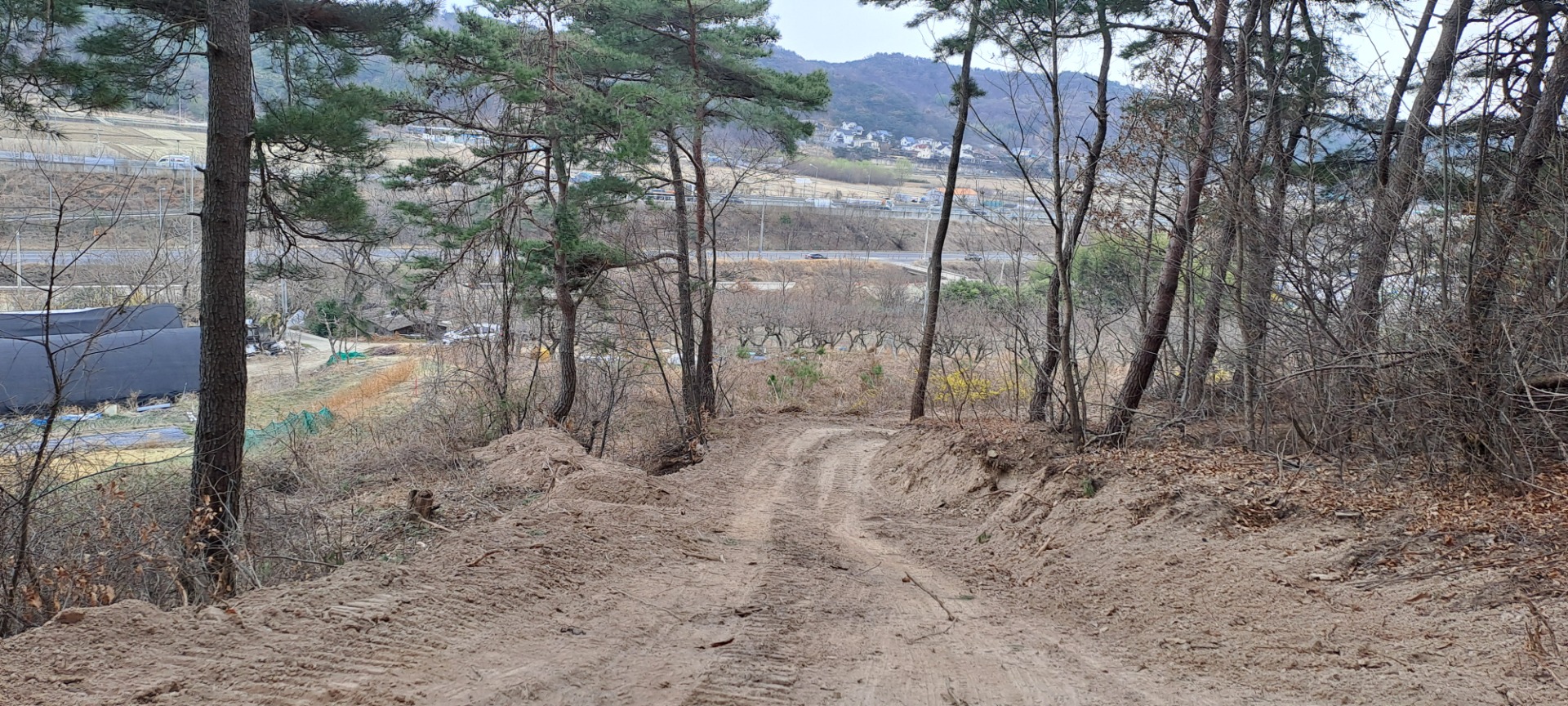 평면도