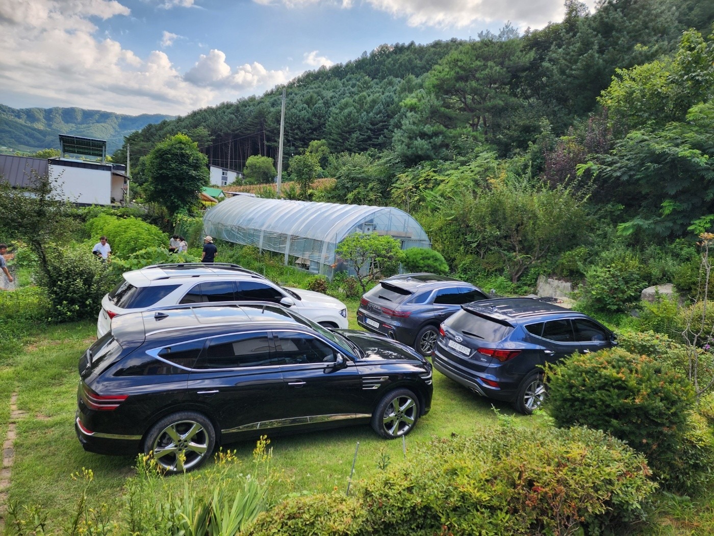 평면도