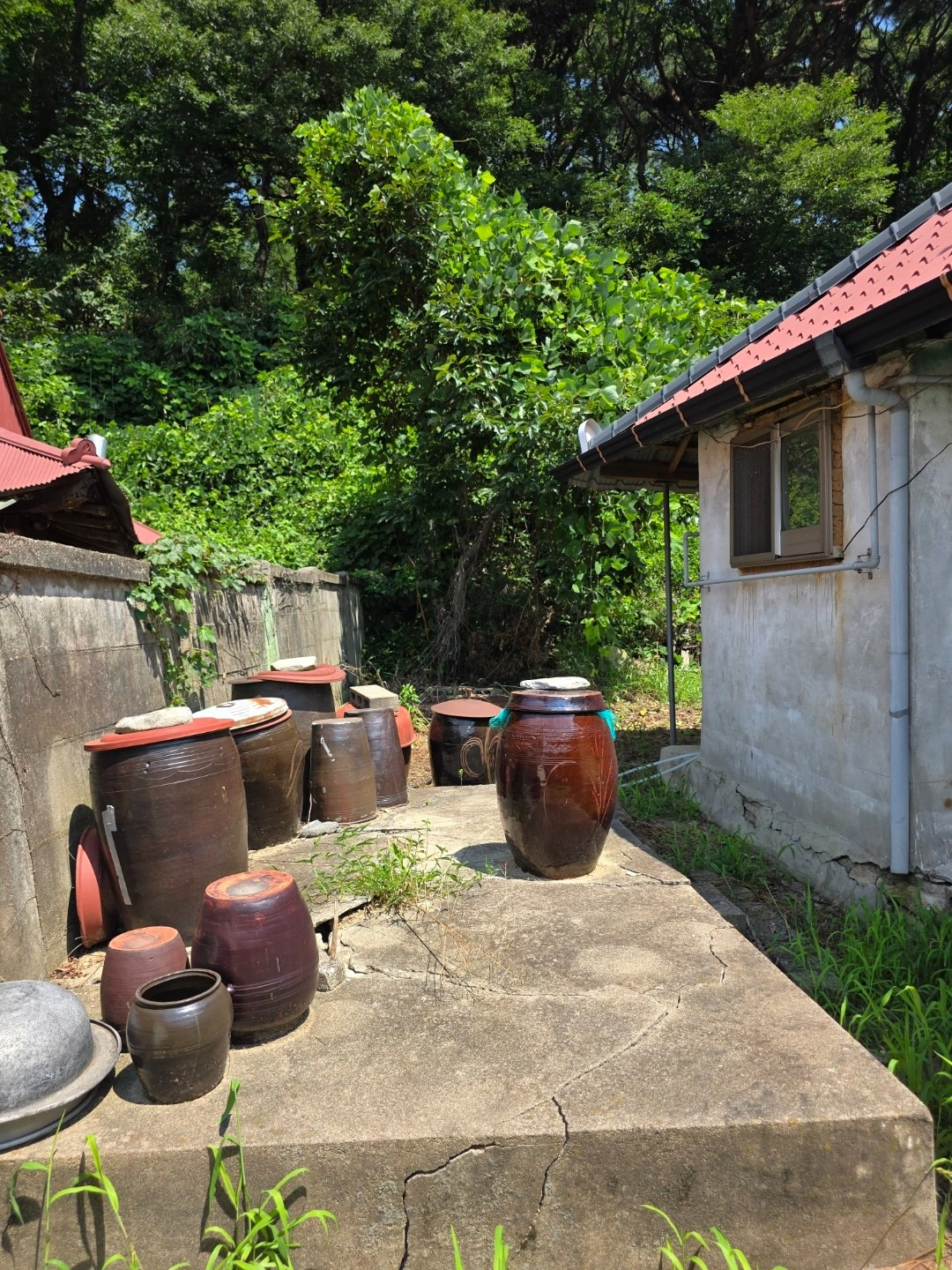 평면도