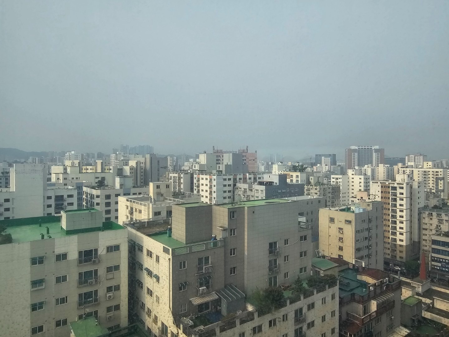 평면도