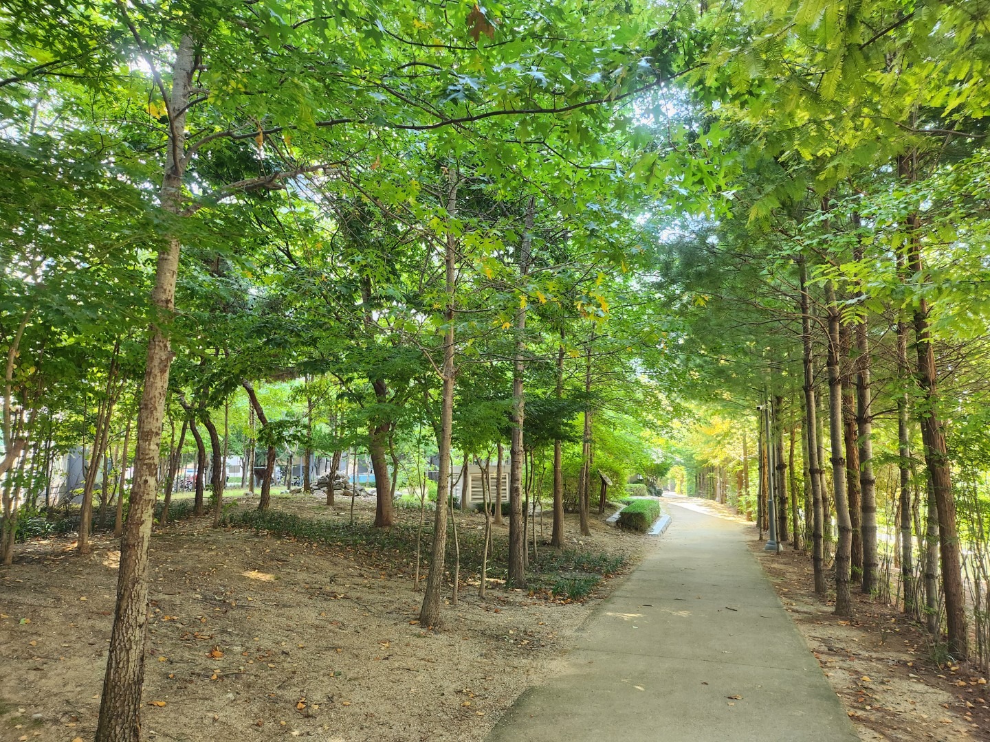 평면도