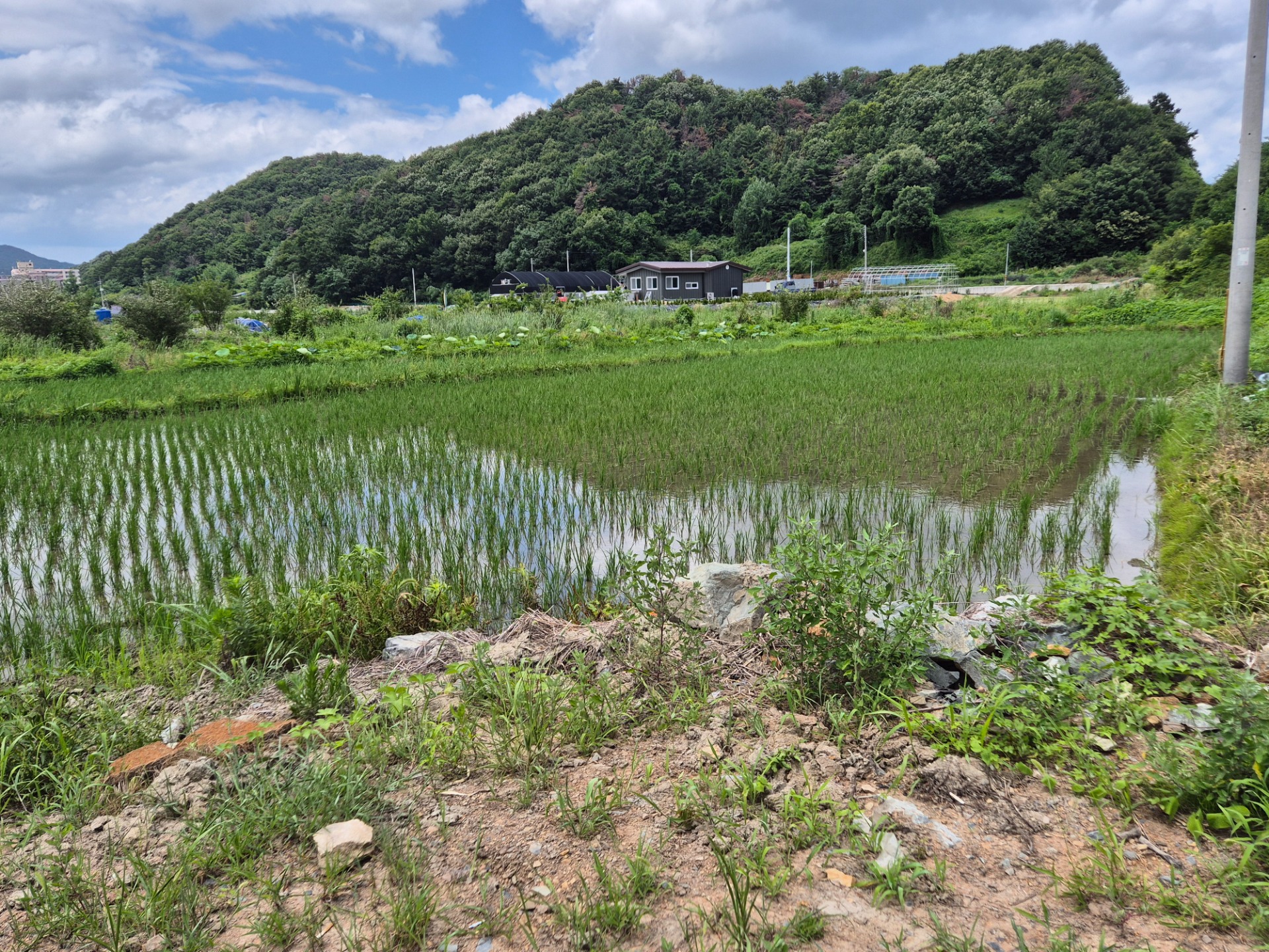 평면도