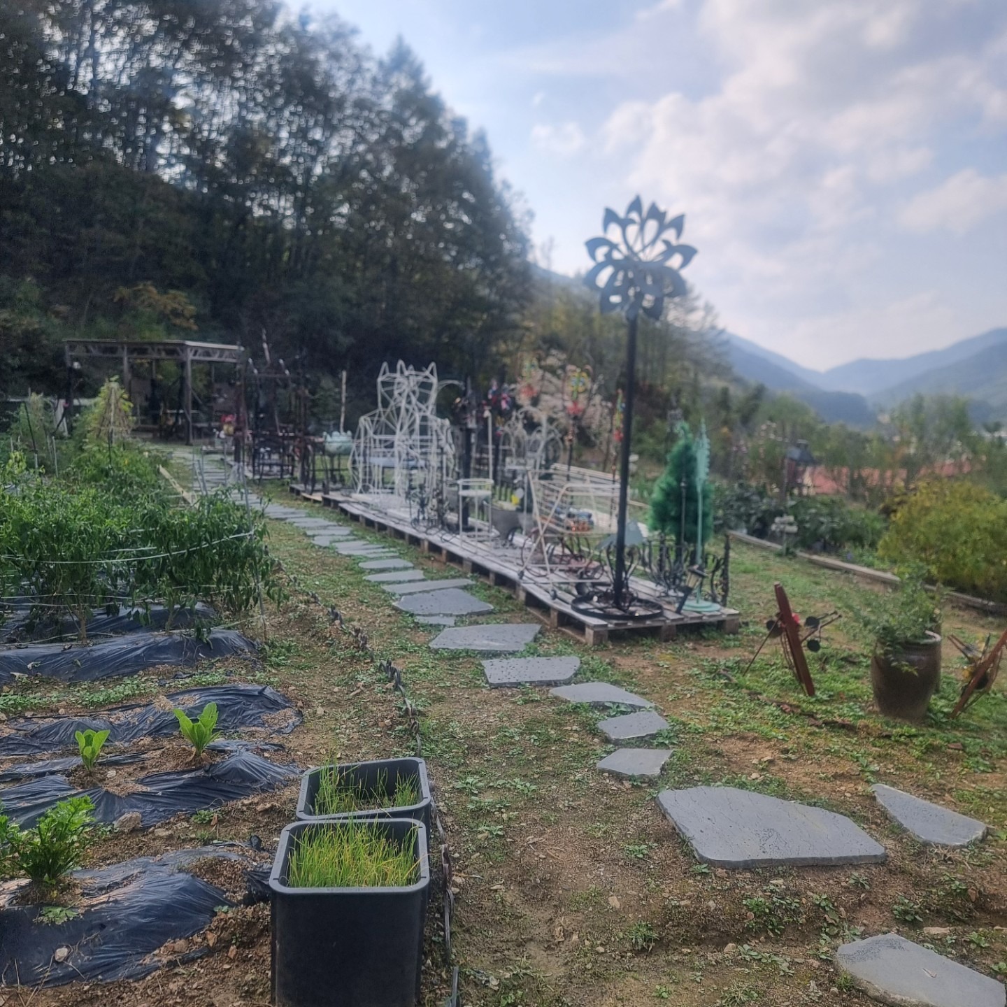 평면도