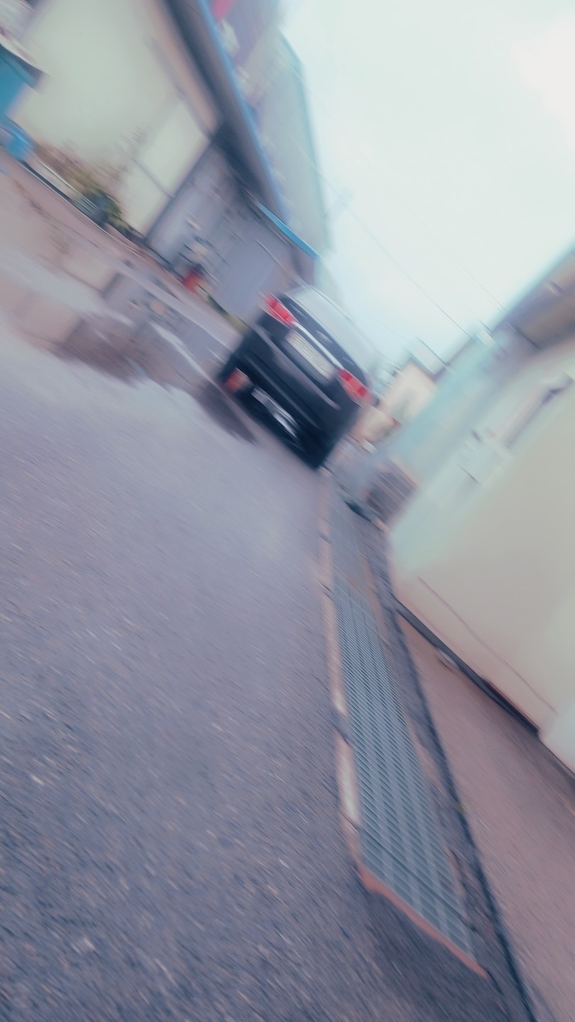 평면도