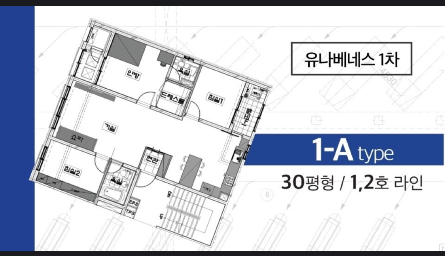평면도