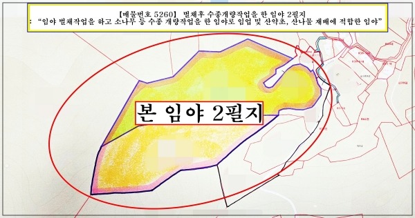 평면도