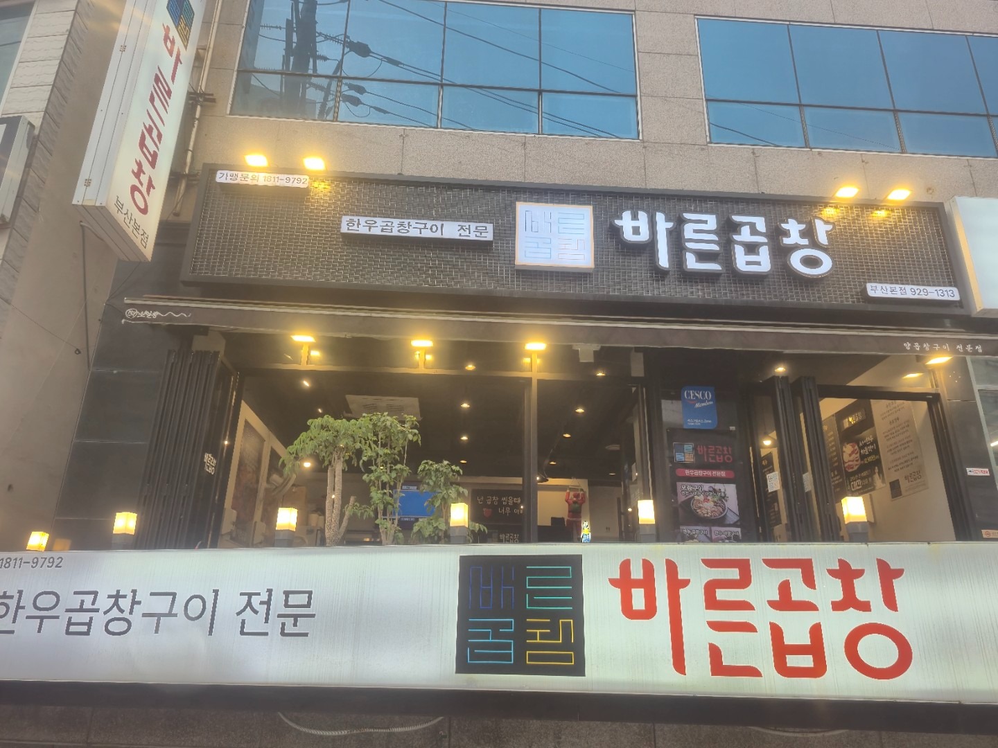 평면도