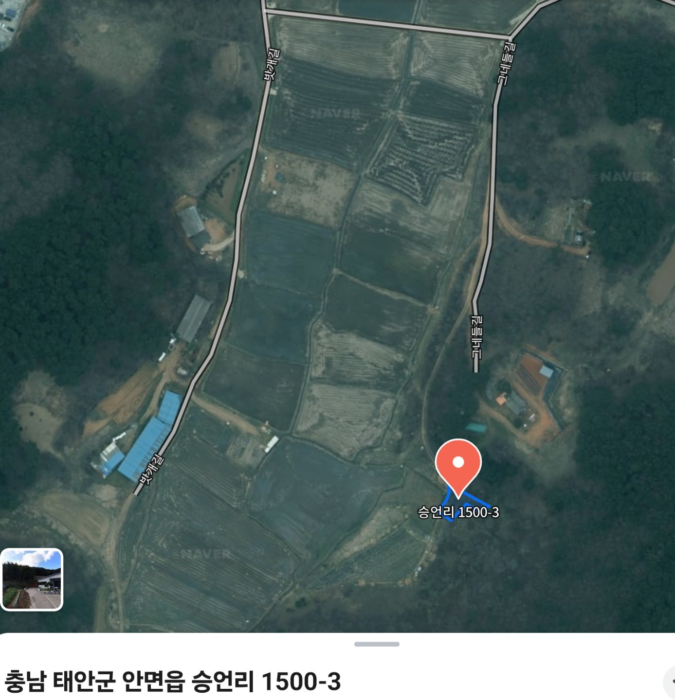 평면도