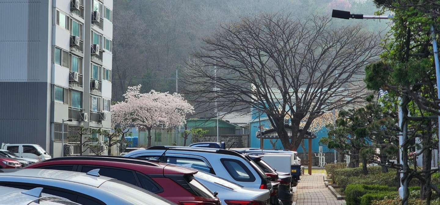 평면도