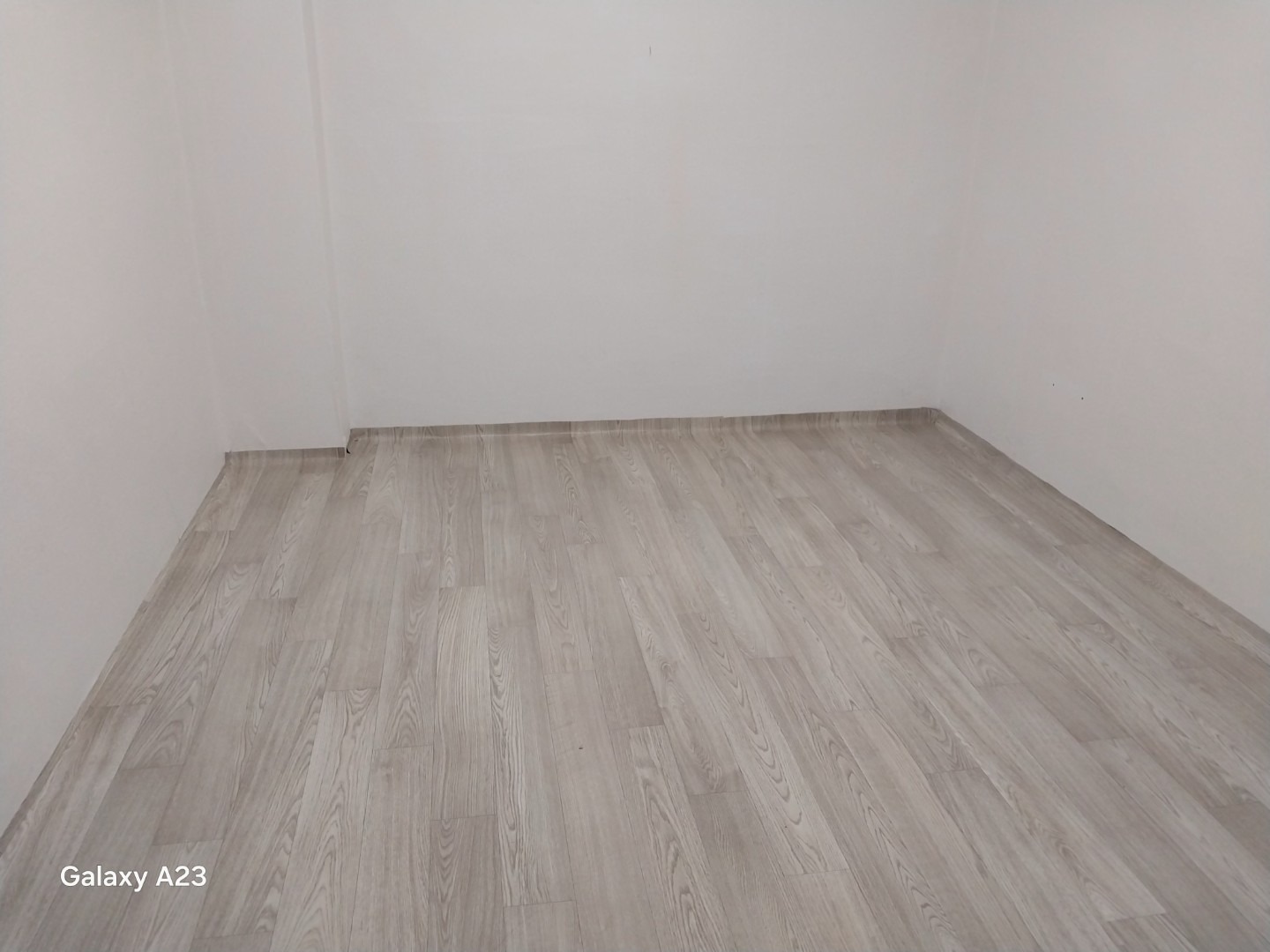 평면도