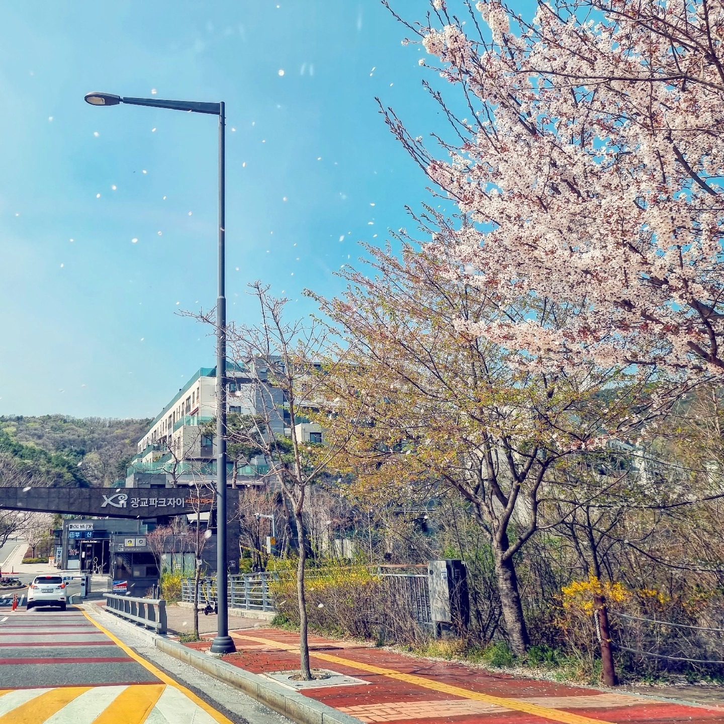 평면도
