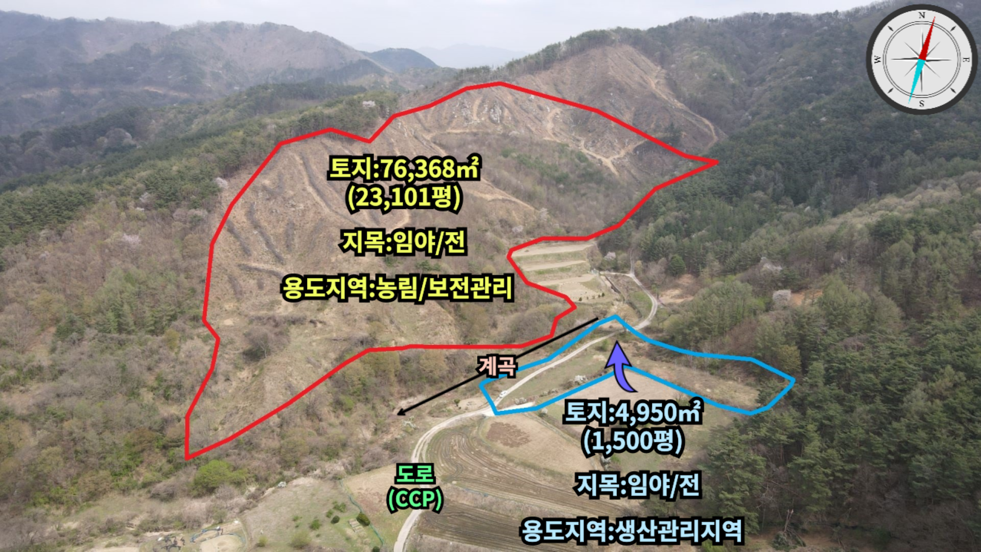 평면도