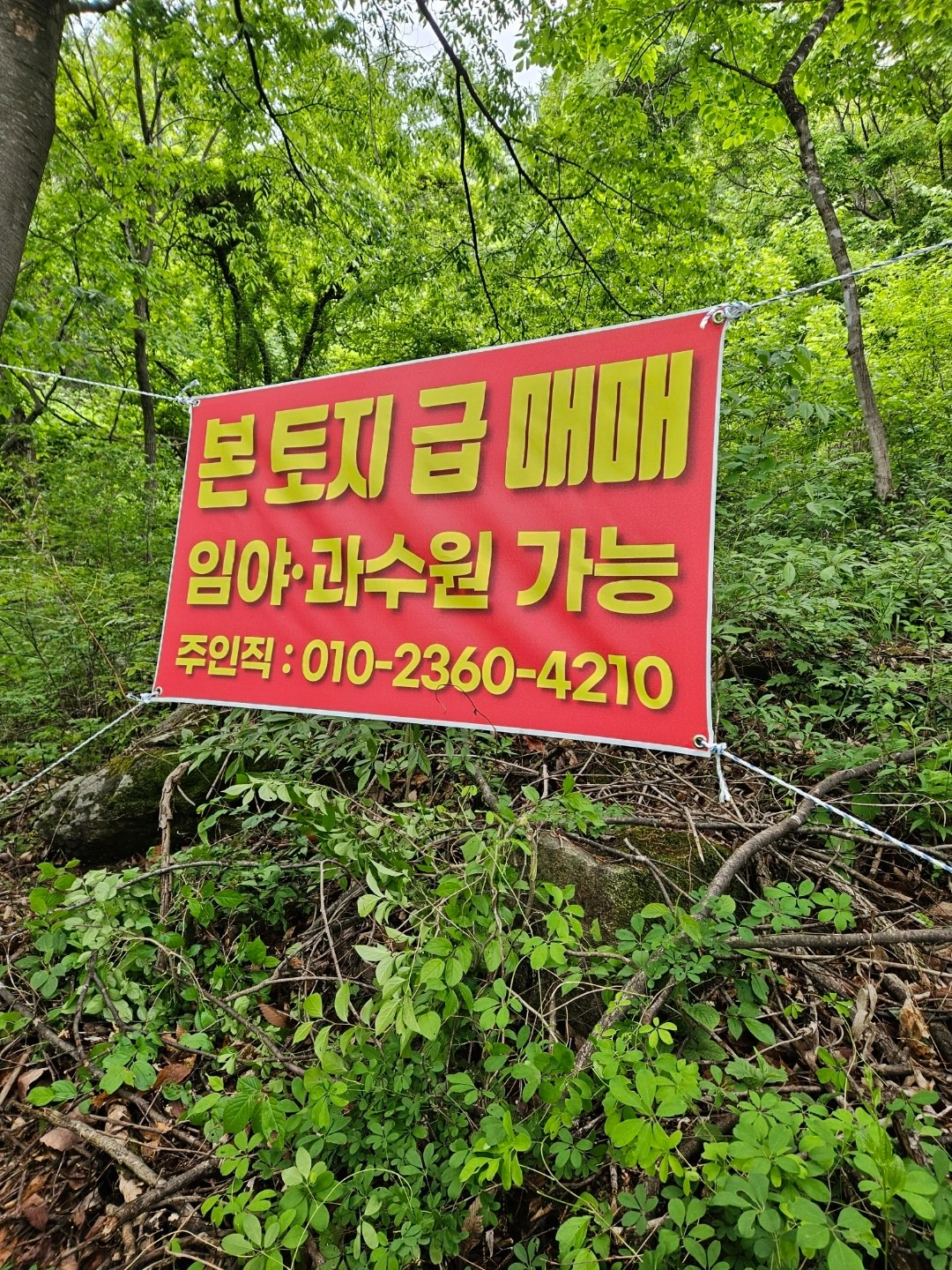 매물 썸네일