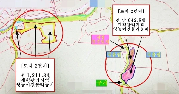 평면도