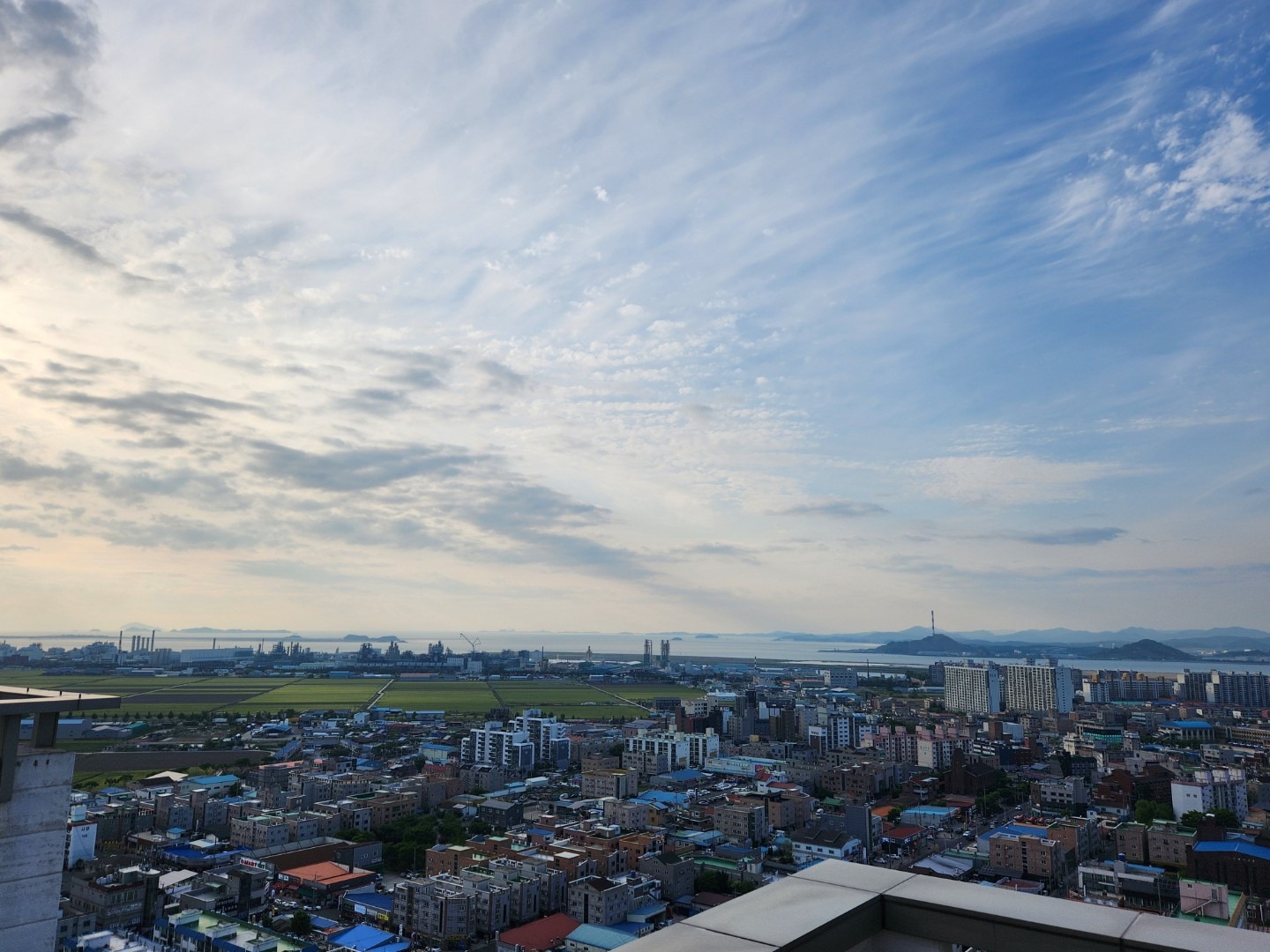평면도