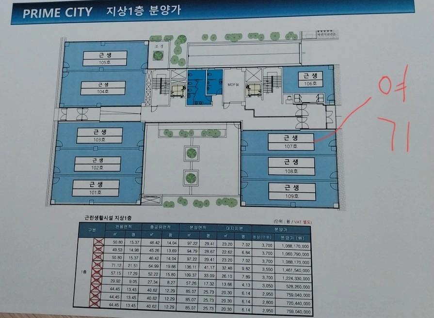 평면도