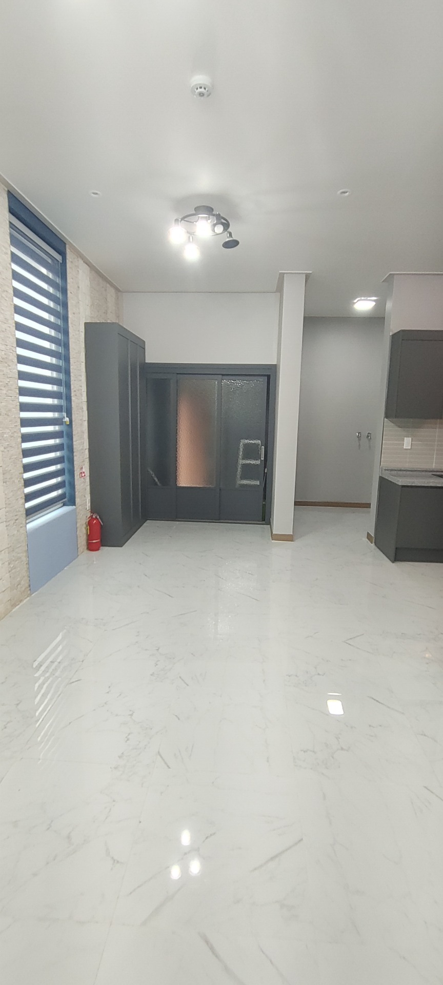 평면도