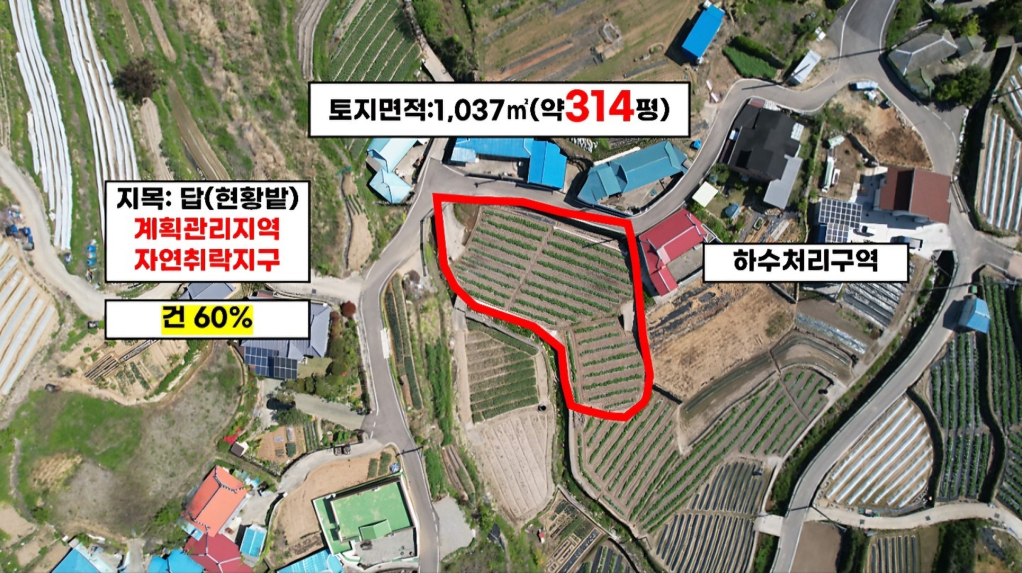 평면도