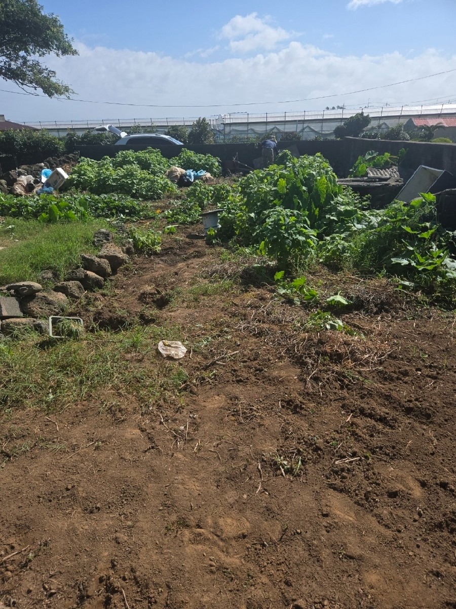 평면도