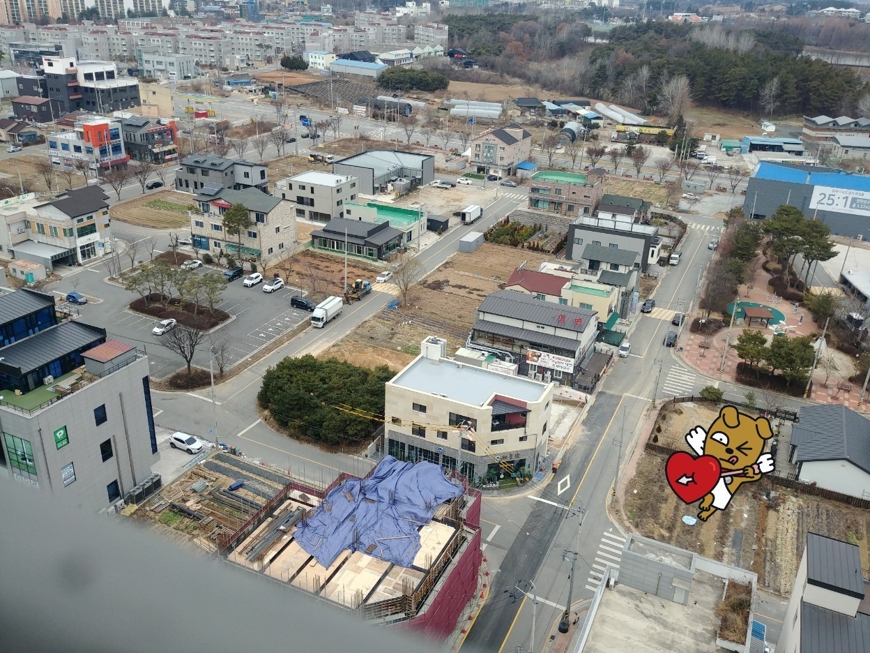 평면도