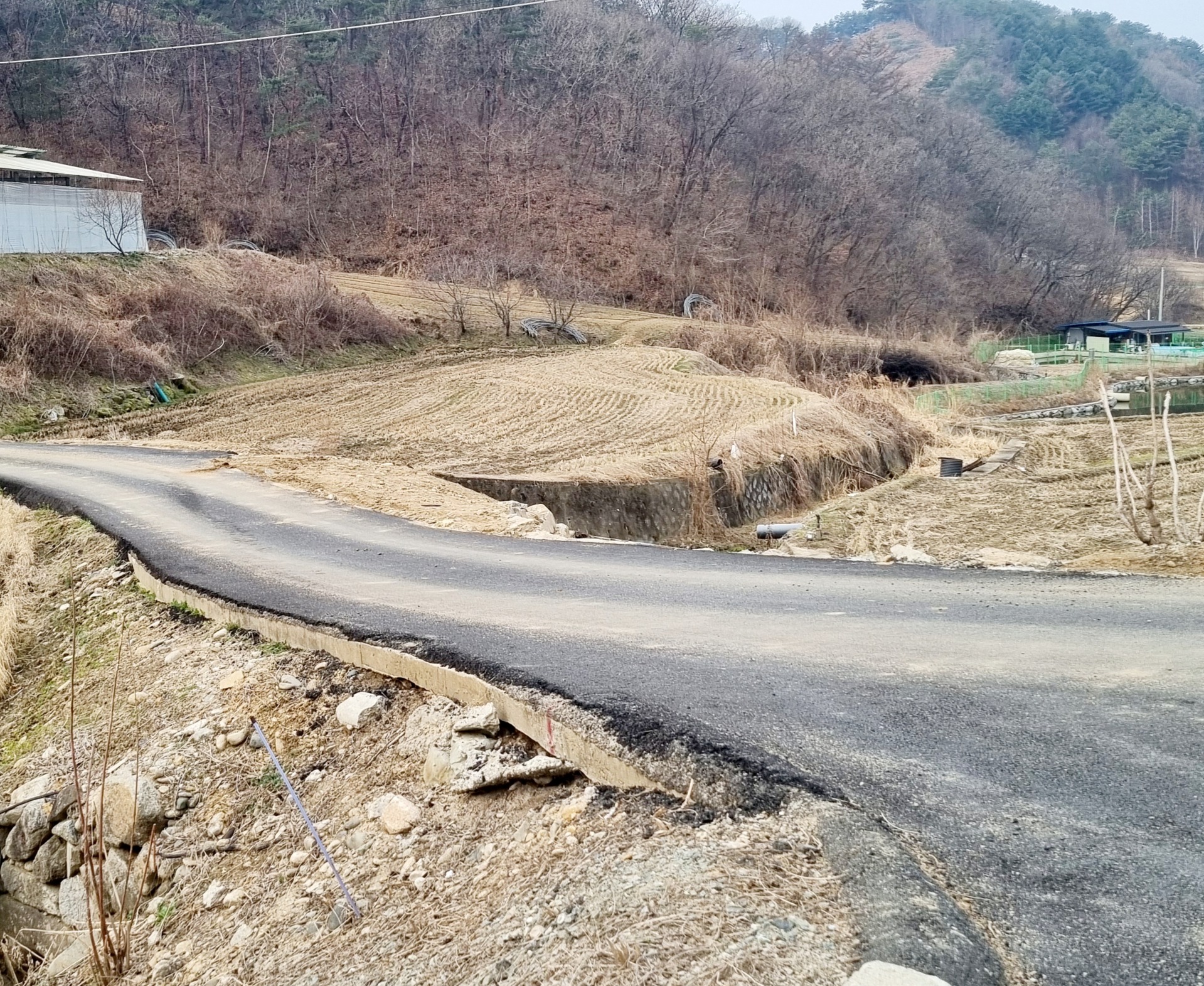 평면도
